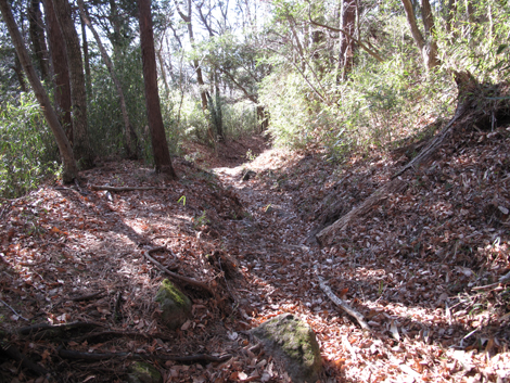 20180116hike (281)